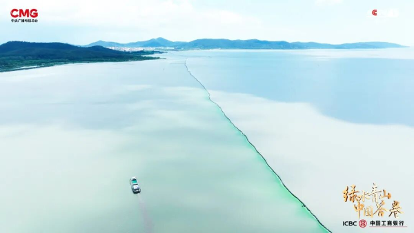 1760323809406599.png s_7017599f8c1a44ef9b31995c08f96429.png